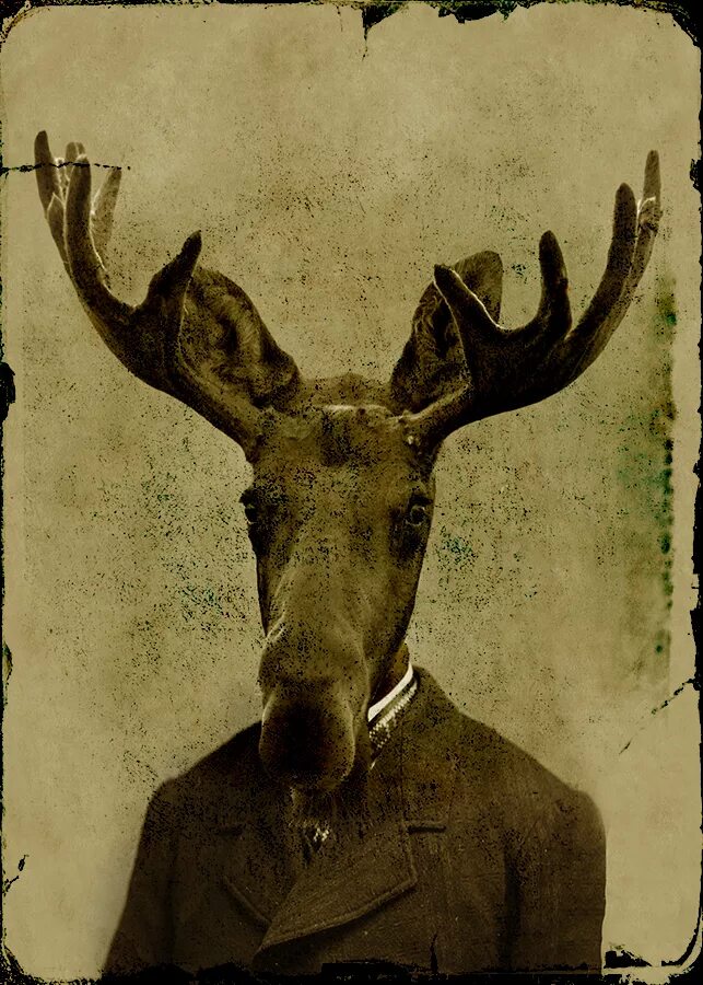 как называются люди олени. кентавр олениха. девушка олень. кентавр лось. человек-олень.