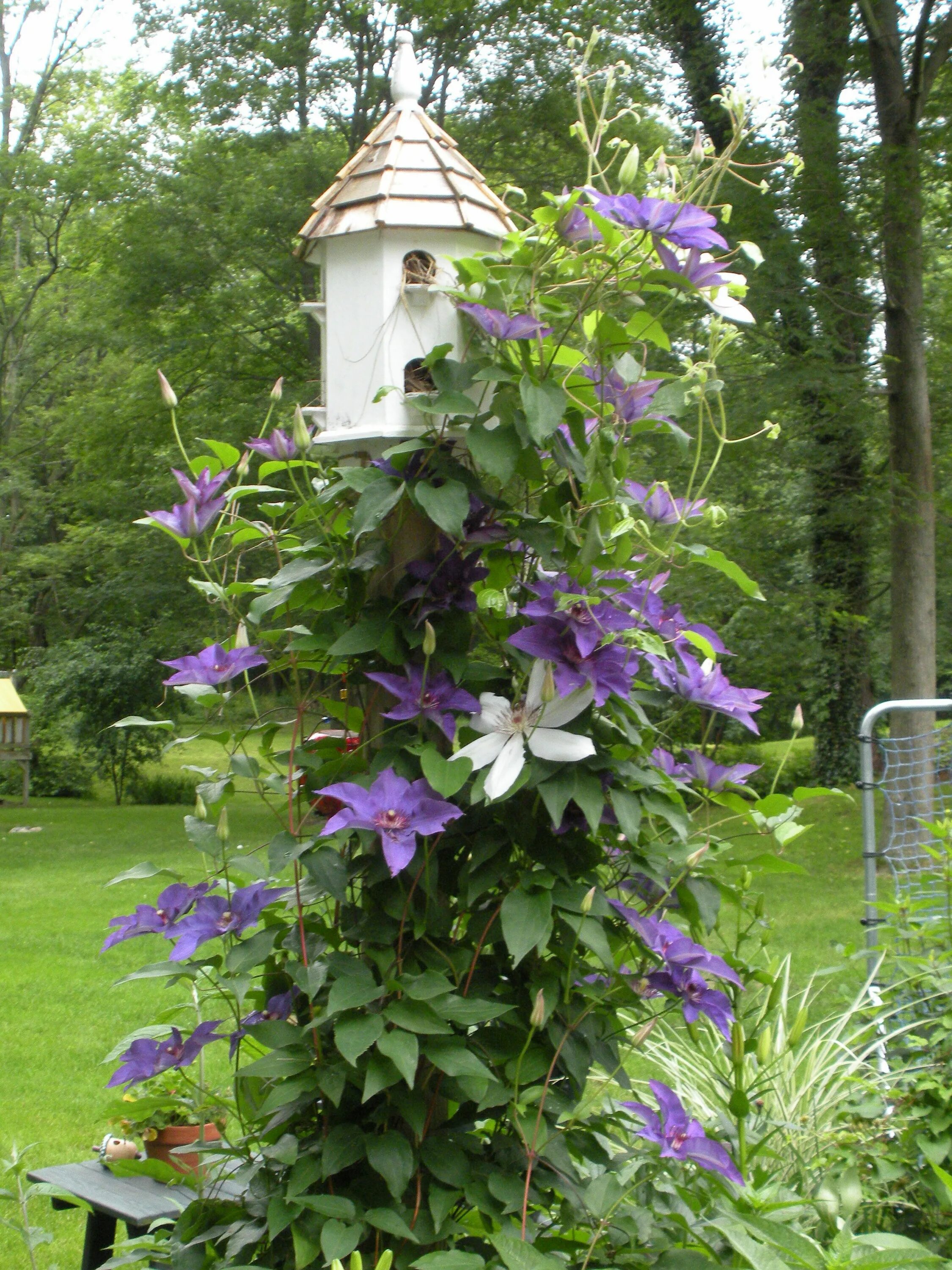 These Metal Garden Trellises are Beautiful With or Without Plants Metal garden t