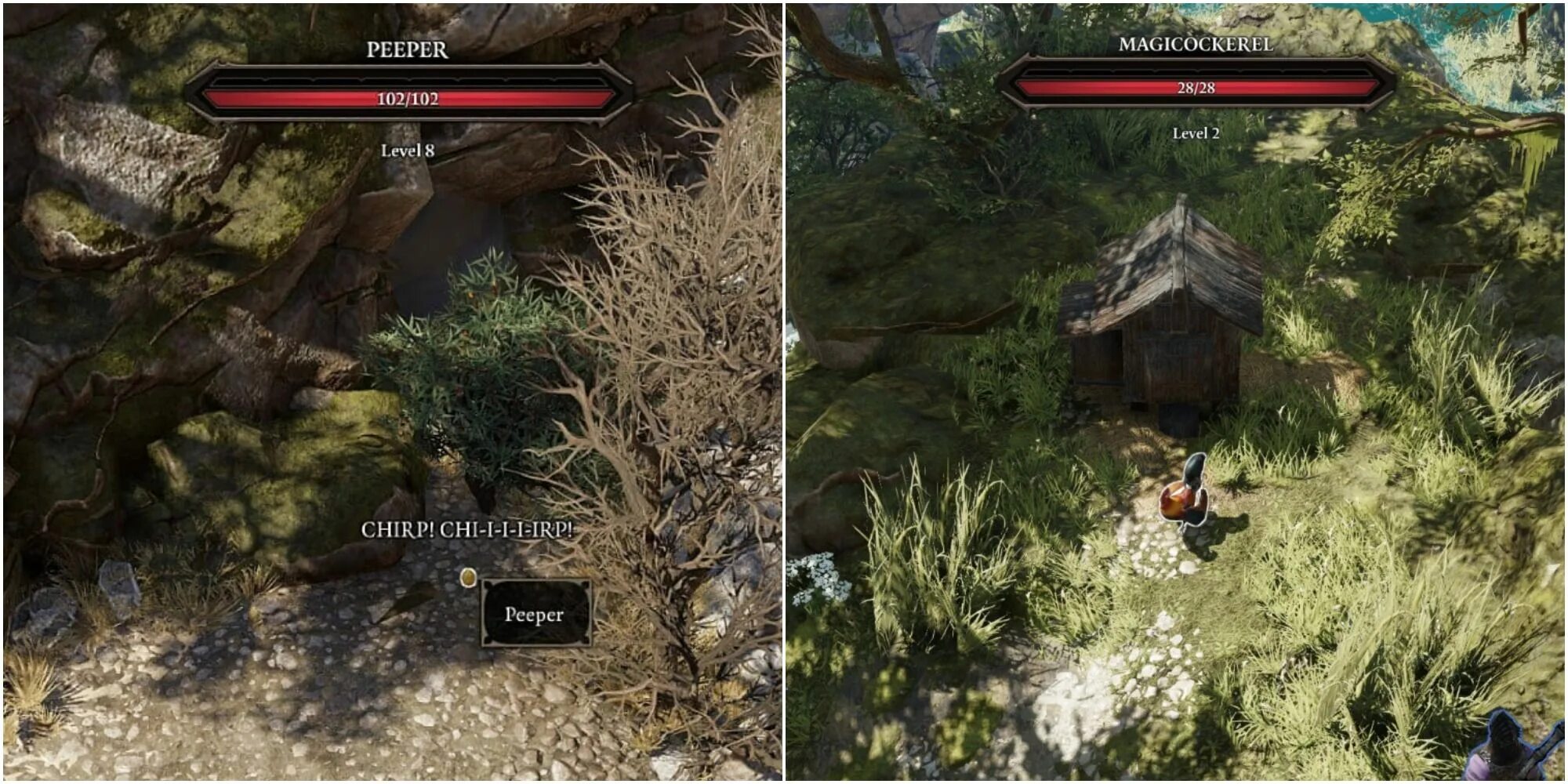 Divinity original sin 2 реликвии. Divinity original sin 2 феникс. divinity original sin 2 паладин. дом ведьмы divinity original sin 2. divinity original sin 2 семя силы.