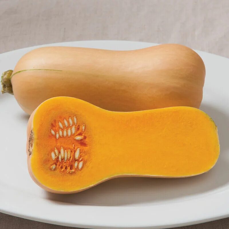 Тыква сорт баттернат. Тыква баттернат сквош. баттернат (butternut squash). баттернат сквош семена. тыква хавана.
