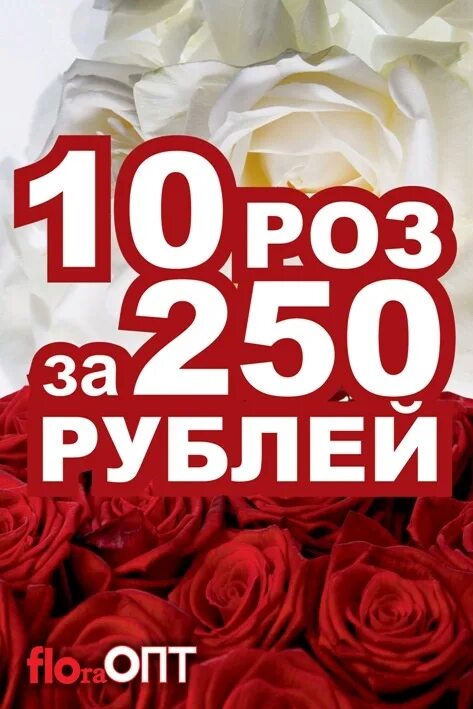 105 Роз за 250 рублей. 10 Роз. 3 49 в рублях