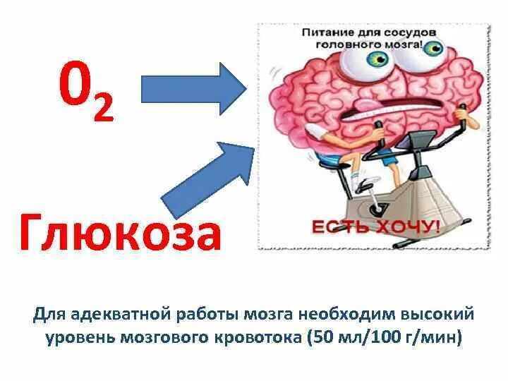 Сколько потребляет мозг. Глюкоза для мозга. Сахар для головного мозга. Глюкоза в организме человека кратко. Питание для мозга.