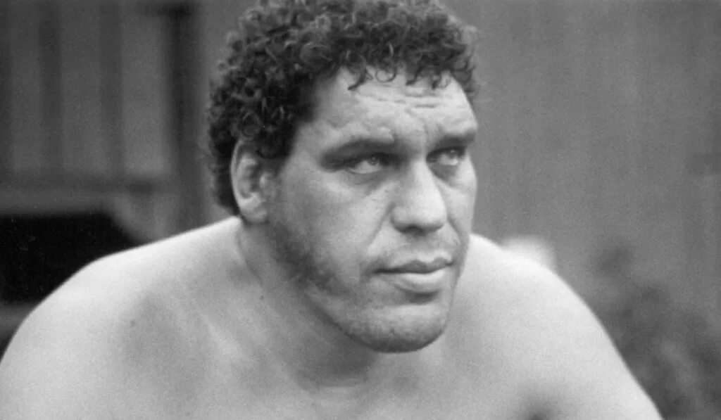 Andre the giant. Андре гигант фото. Молодой Андре Русимов. Андре русимов