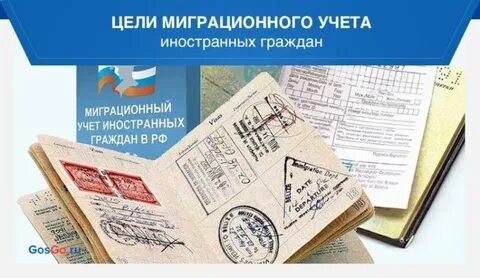 Цели миграционного учета