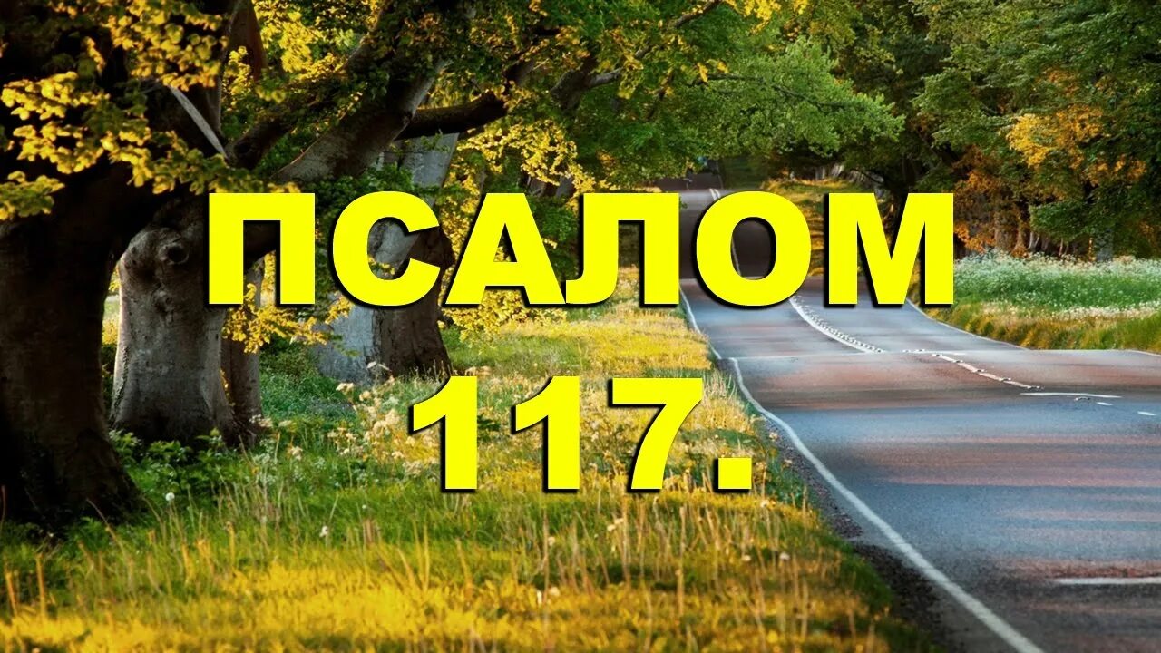 Псалом 117. Псалтирь 117 17. Псалом 116 Стеняев. Псалом 117 и 115. Псалом 117 читать