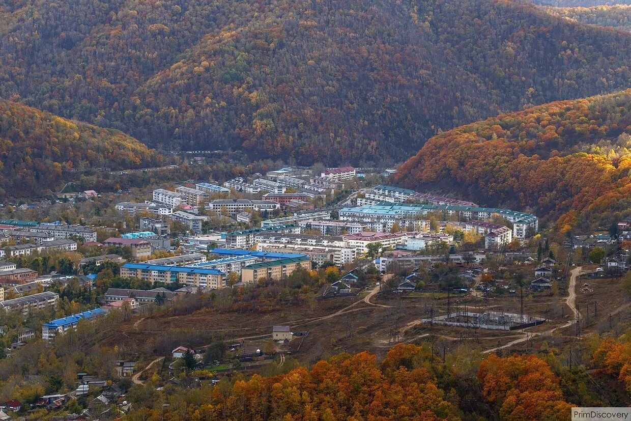 Погода новый приморский край. Дальнегорск горы Приморский край. Тетюхе Дальнегорск. Тайга Дальнегорск Приморский край. Дальнегорск сопка 611.