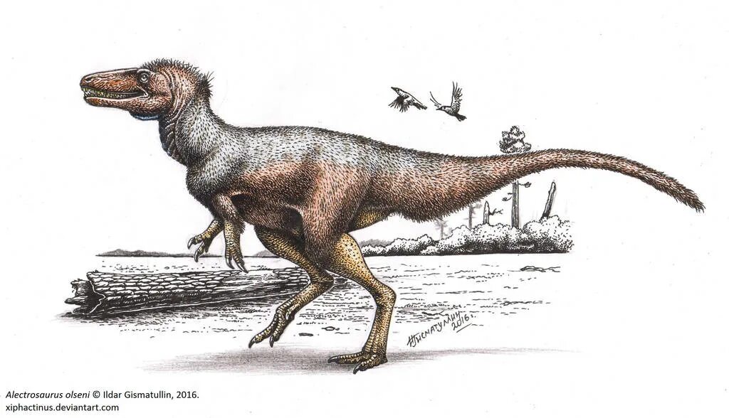 На рисунке изображен майаспондил вымершая рептилия. Alectrosaurus olseni. Алектрозавр Планета динозавров. Алектрозавр скелет. Алектрозавр размер.