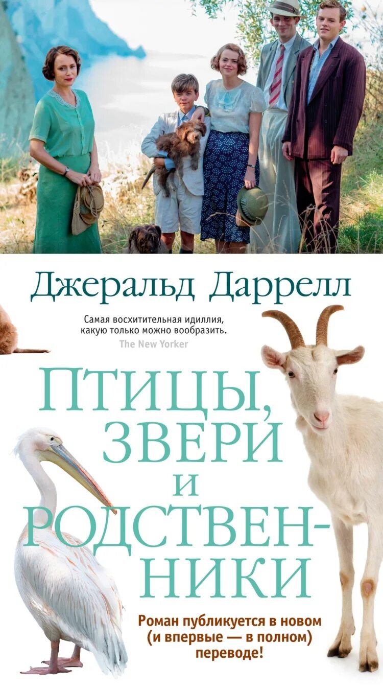 Читать книгу родственники. Дж Даррелл моя семья и звери. Моя семья и другие звери Джеральд Даррелл книга. Джеральд Даррелл птицы звери и родственники. Даррелл птицы звери и моя семья.