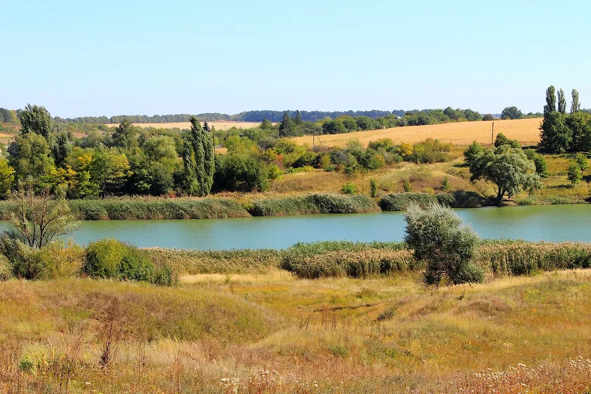 Село шейковка харьковской обл. Николаевка украина харьковская область. Плетеневка белгородская область. Село плетеневка харьковская область. Малиновка (чугуевский район).