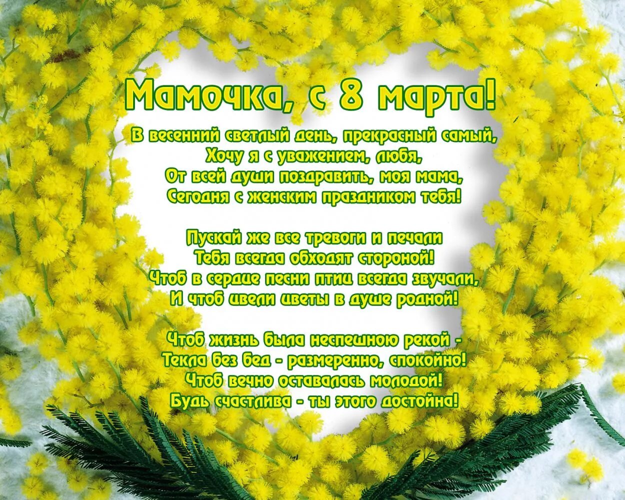 Подарю мимозу маме. Подарю мимозу маме