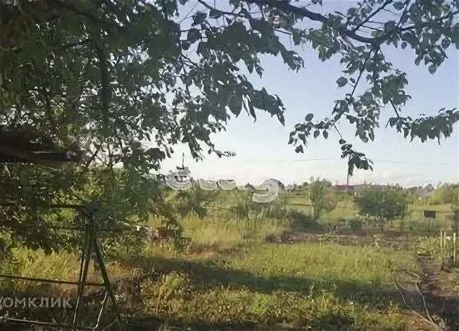 Погода подлесный воронежская область верхнехавский