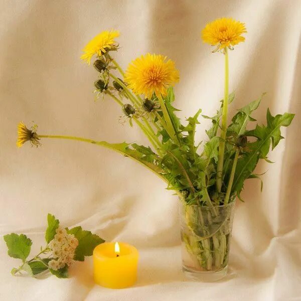 Photo album "Staged still lifes". Website of Iuliia Kravchenko.