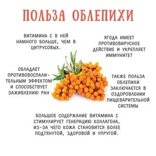 Польза облепихи для организма в чае