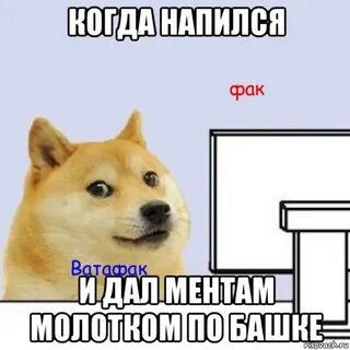 Пес без мата