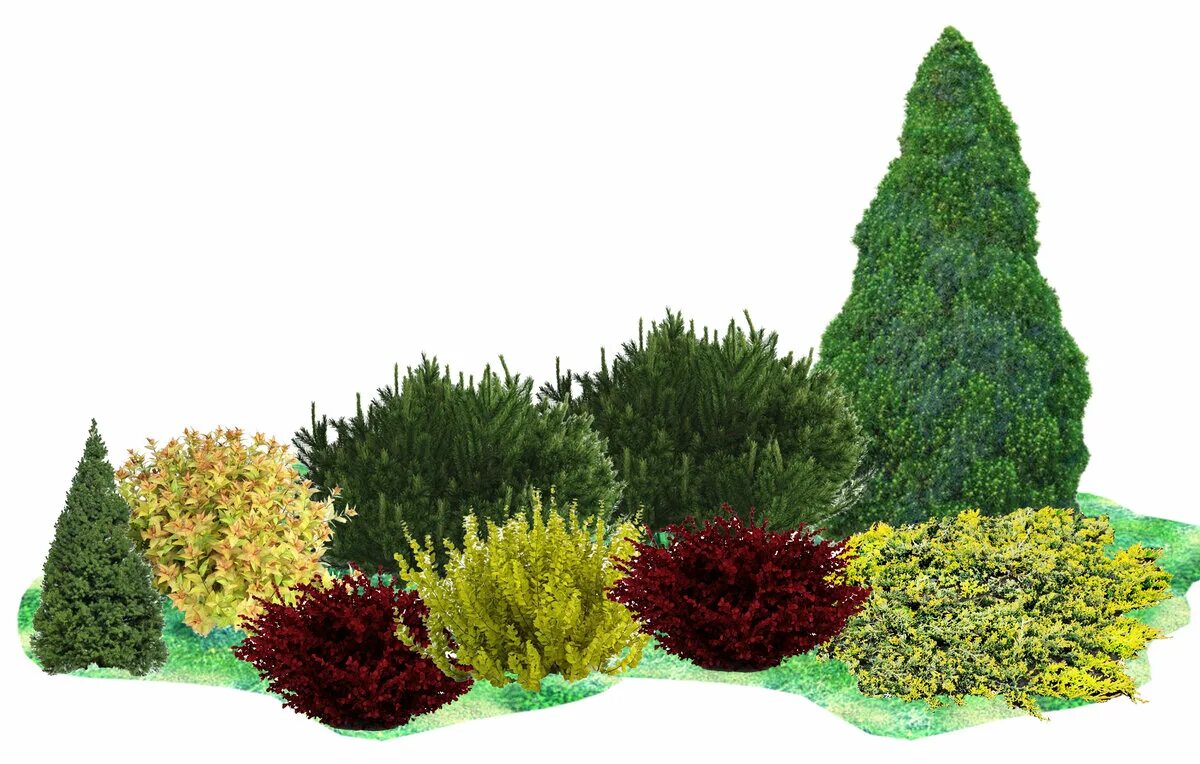 Pin by Svetlana Antonyuk on Идеи озеленения in 2025 Evergreen garden, Front gard