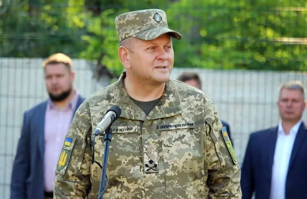Валерием федоровичем залужным. Валерием федоровичем залужным