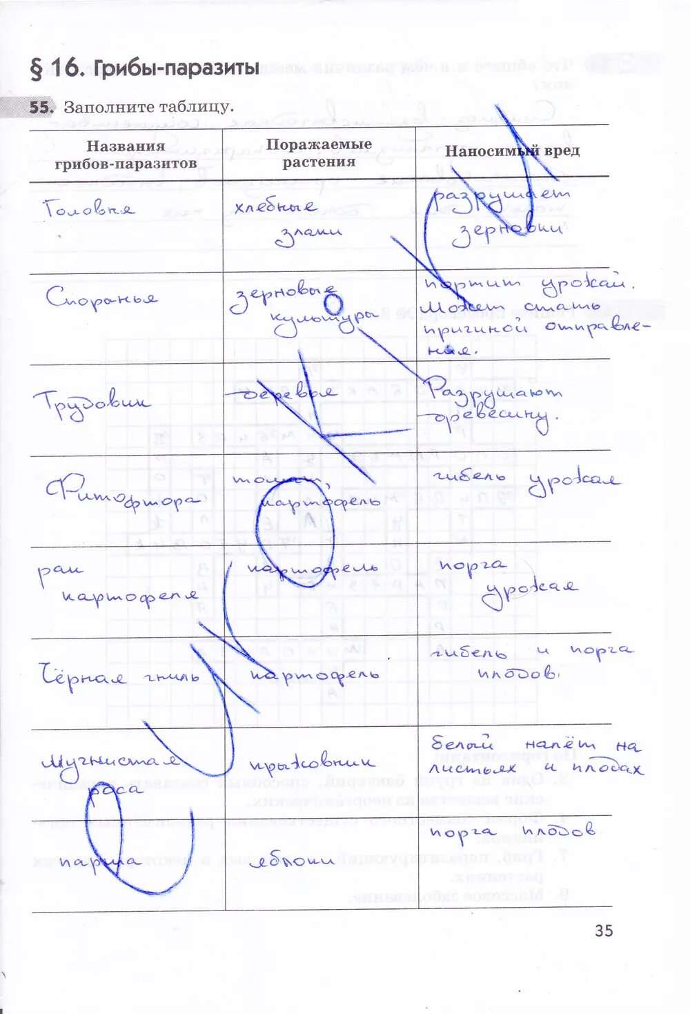 Биология 5 класс стр 139 ответы. Рабочая тетрадь 5 класс биология Пасечник грибы.