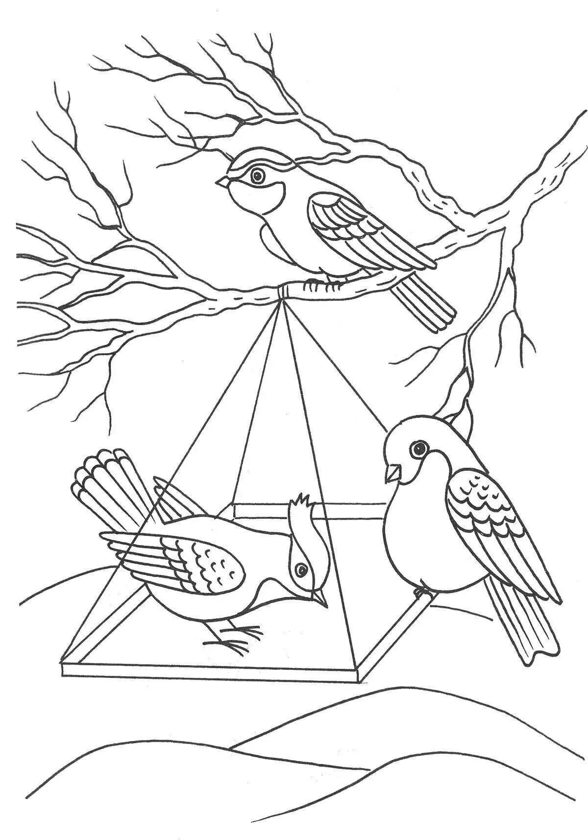 День птиц распечатать. Птицы раскраска для детей. Кормушка для птиц раскраска. Раскраска кормушка для птиц для детей. Раскраска зимующие птицы на кормушке.