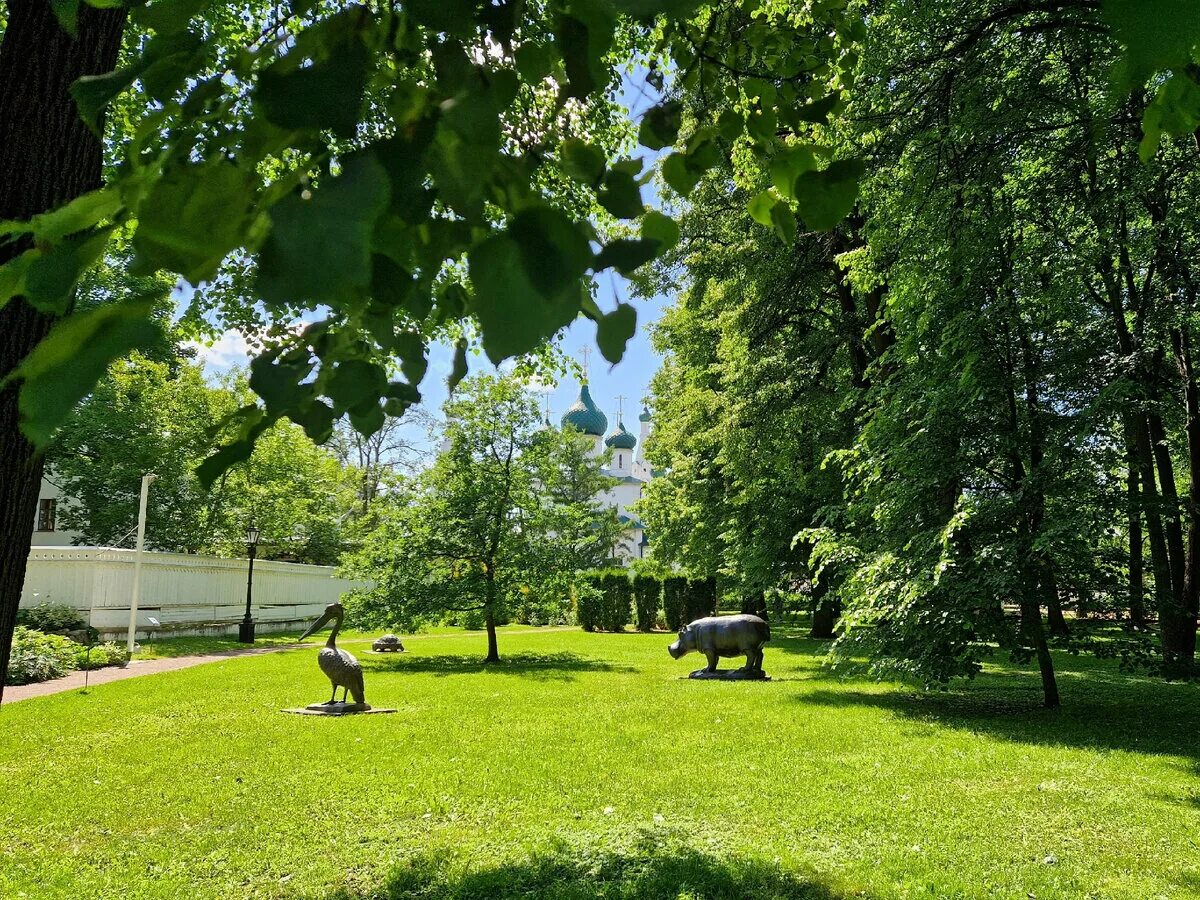 Рабочий сад ярославль благоустройство. Губернаторский сад осенью. Рабочий парк ярославль перекоп. Работа в ярославле сад. Работа в ярославле сад.