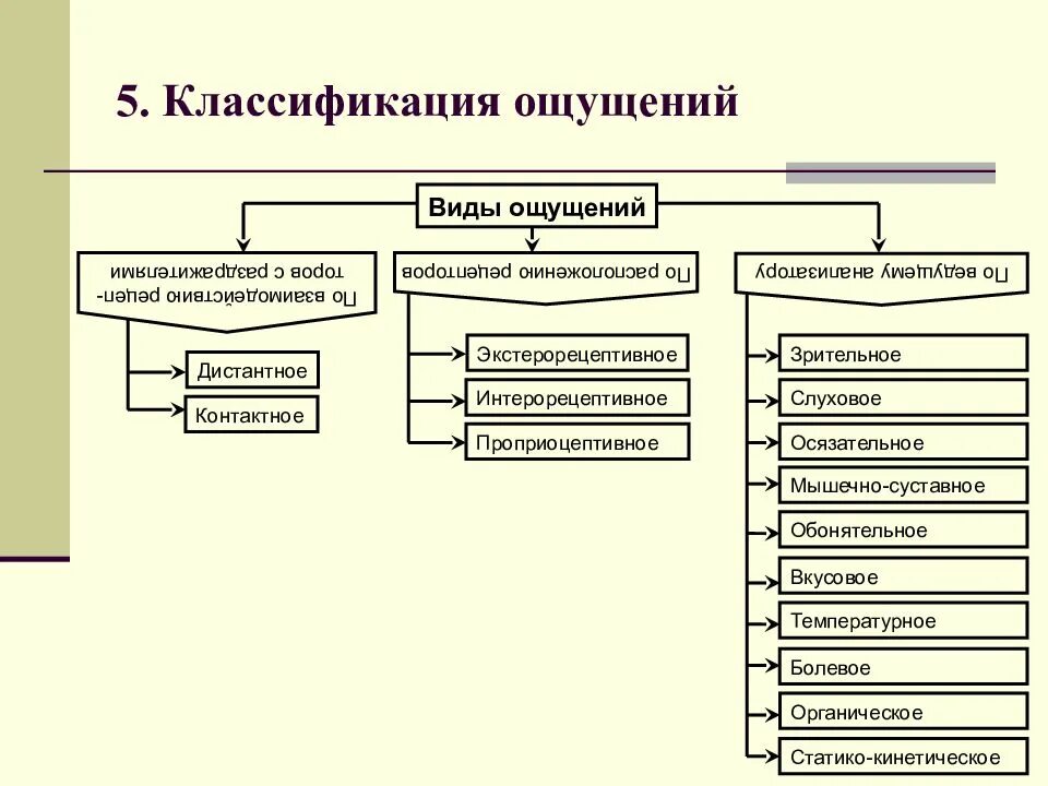 3 класса ощущений. Классификация ощущений в психологии таблица. Классификация ощущений схема. Схема классификация ощущений в психологии. Ощущения классификация ощущений психология.