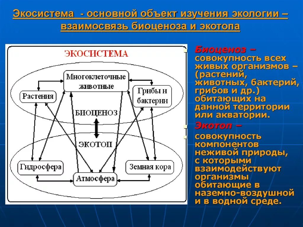 Экосистемная экология. Структура биоценоза. структура экосистемы схема. структура дисциплины экология. структура экологии.