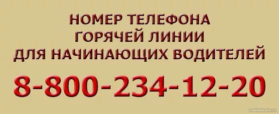 Горячая линия ГИБДД. Номер телефона ГИБДД горячая линия. ГИБДД горячая линия консультация. ГИБДД номер телефона горячей линии Москва. Гибдд горячая линия бесплатный телефон