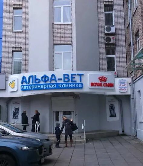 Ветклиника альфавет. Новокосино комсомольская. Ветеринарка губкинский. Альфа балашиха комсомольская. Альфа балашиха комсомольская.