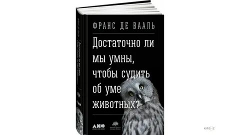 Животный ум