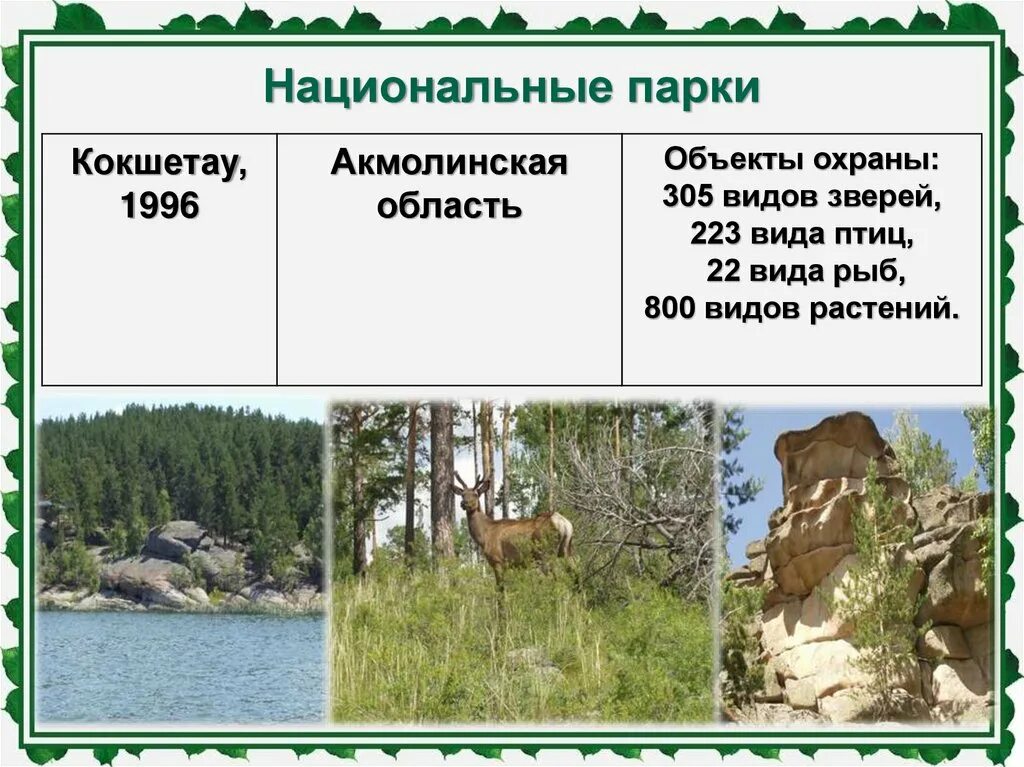 Сообщение j заповедниках. Национальный парк килиманджаро. Характеристика национальных парков. Характеристика национальных парков. Государственные природные заповедники.