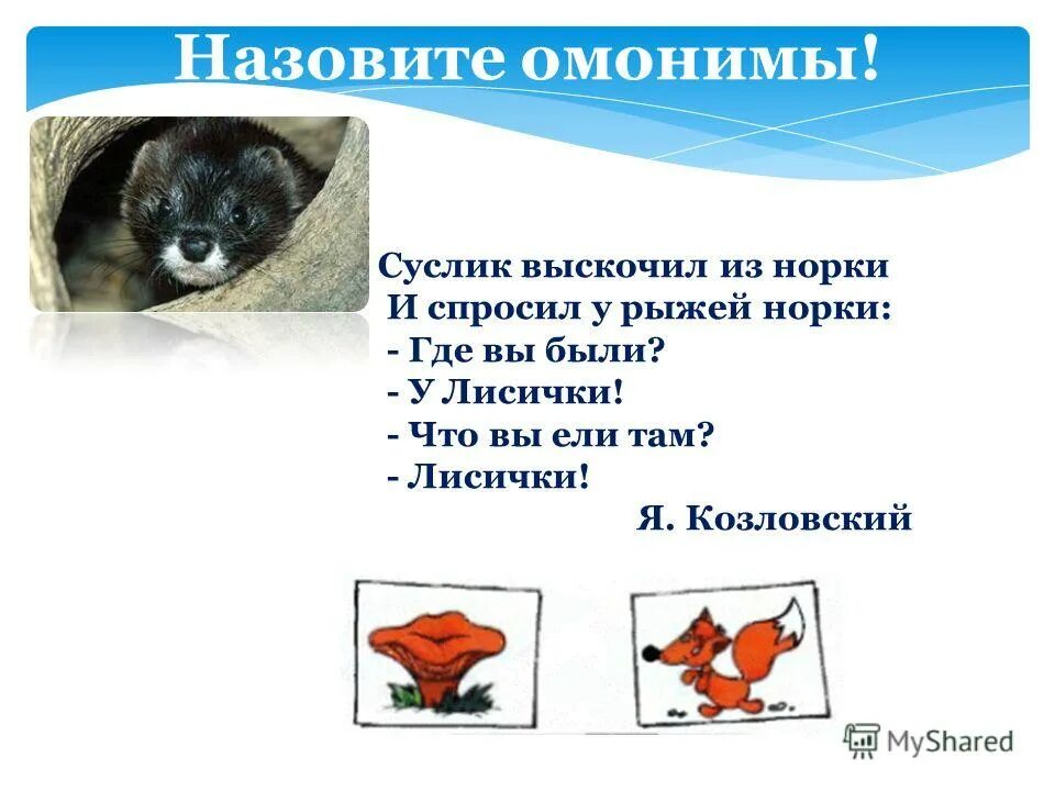 предложение со словом лисички. лиса с грибами. омонимы лисички картинки. юмористический рисунок на тему многозначные слова. предложение про лисичек.