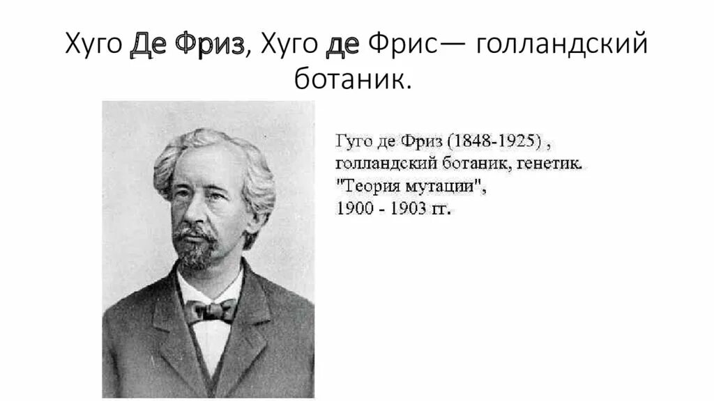 Х де фриз. Хуго де фриз. Хуго де фриз нидерландский ботаник. Хуго де фриз нидерландский учёный. У Грегор Химик.