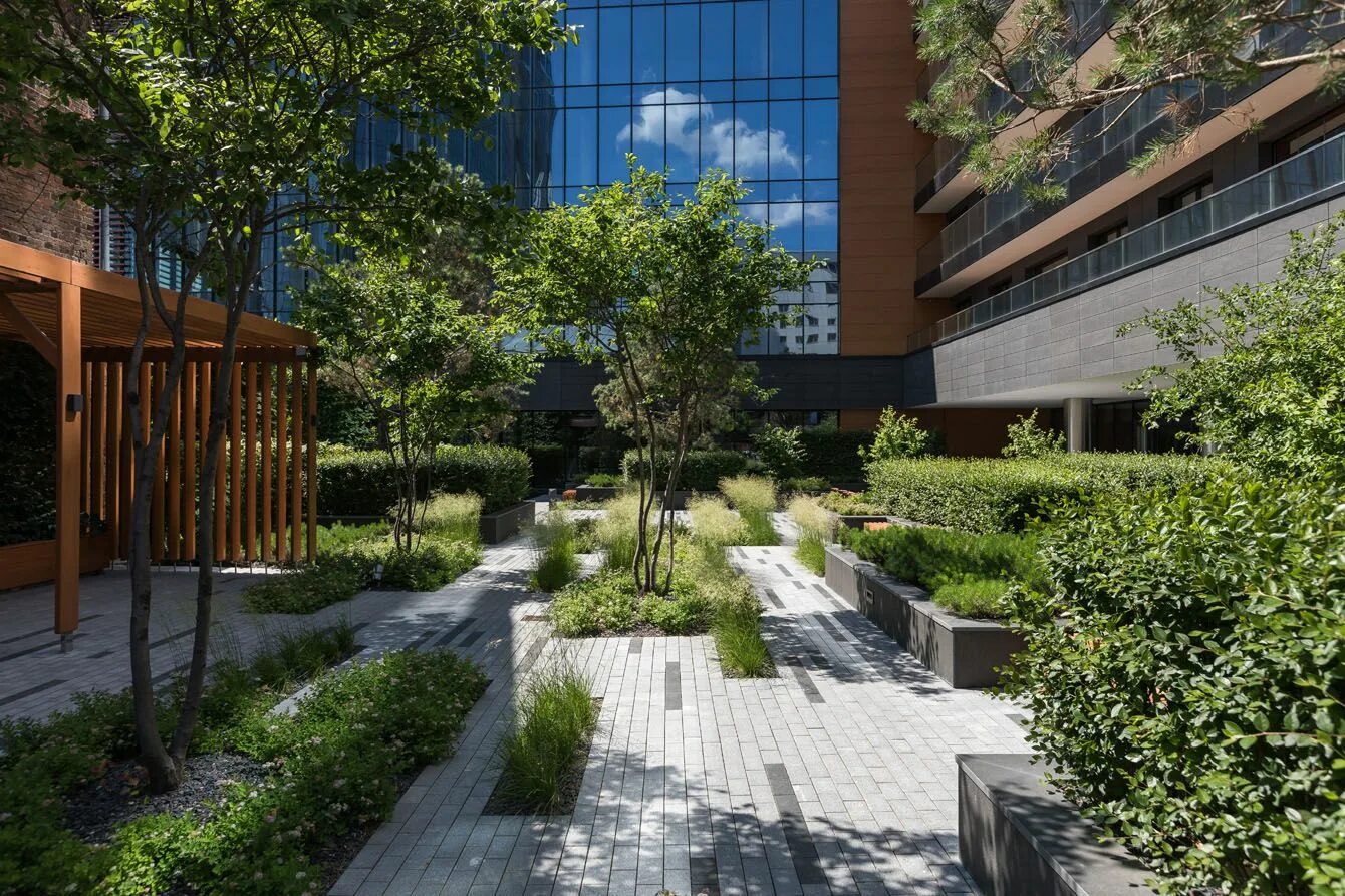 Озеленение жилого комплекса линейные цветники. Е. Брусника озеленение. Жк новин брусника. Брусника ландшафт дворы.