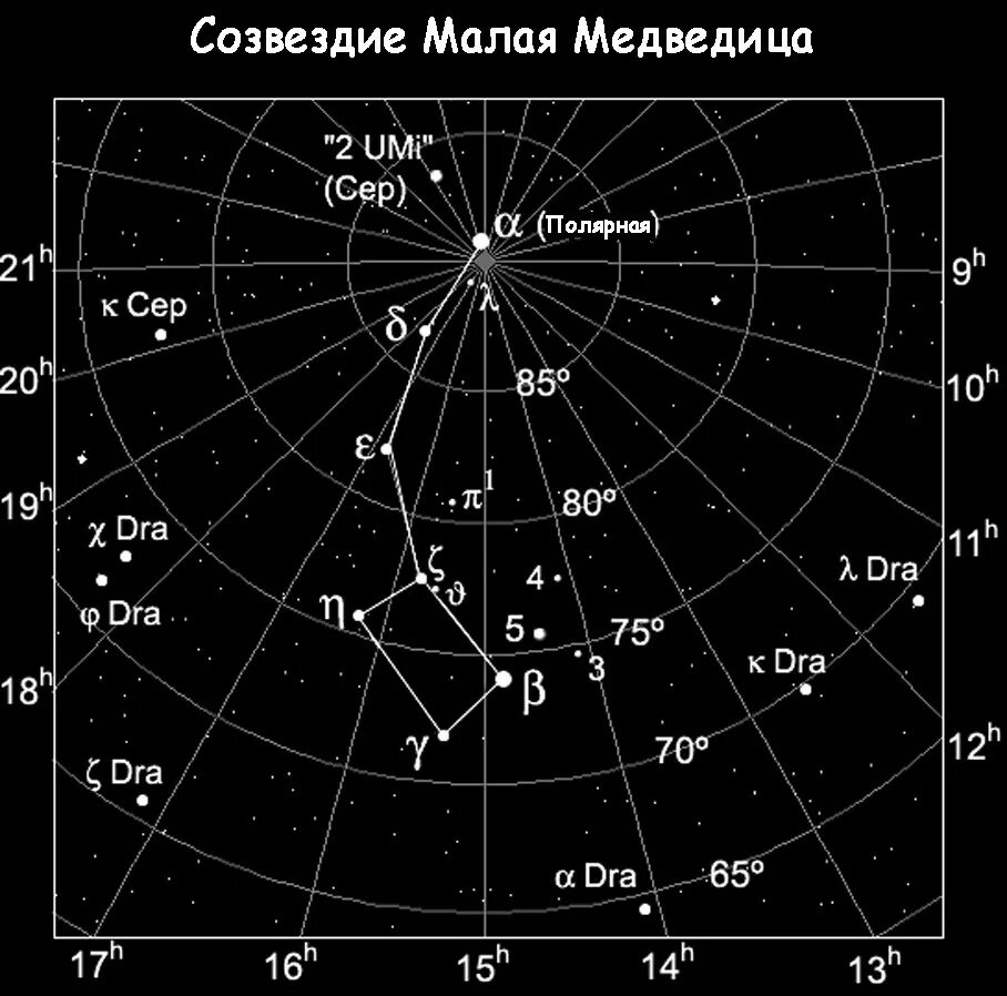 Созвездие малой медведицы какие звезды. Созвездие малая Медведица и Полярная звезда. Звёзды ковша малой медведицы. Малая Медведица астеризм. Звезды в созвездии малой медведицы.