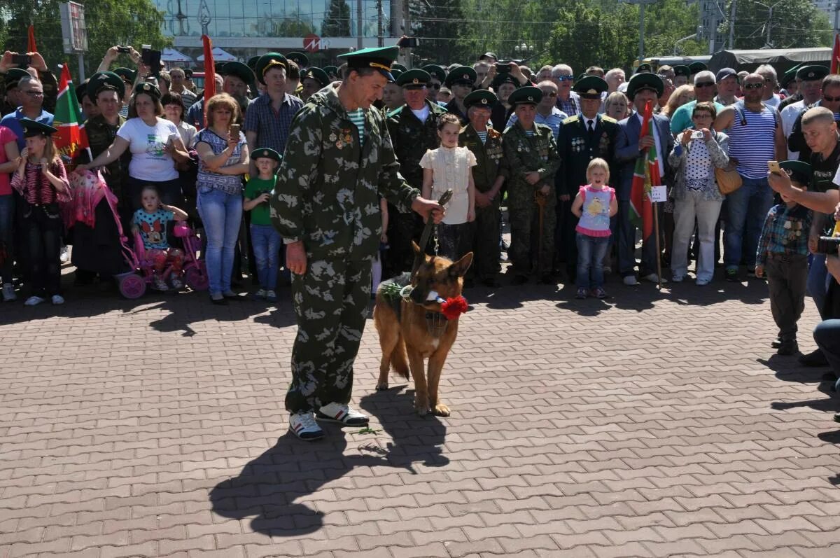 28 мая 19. Пограничники. С днем пограничника. День пограничника в России. С праздником пограничника.