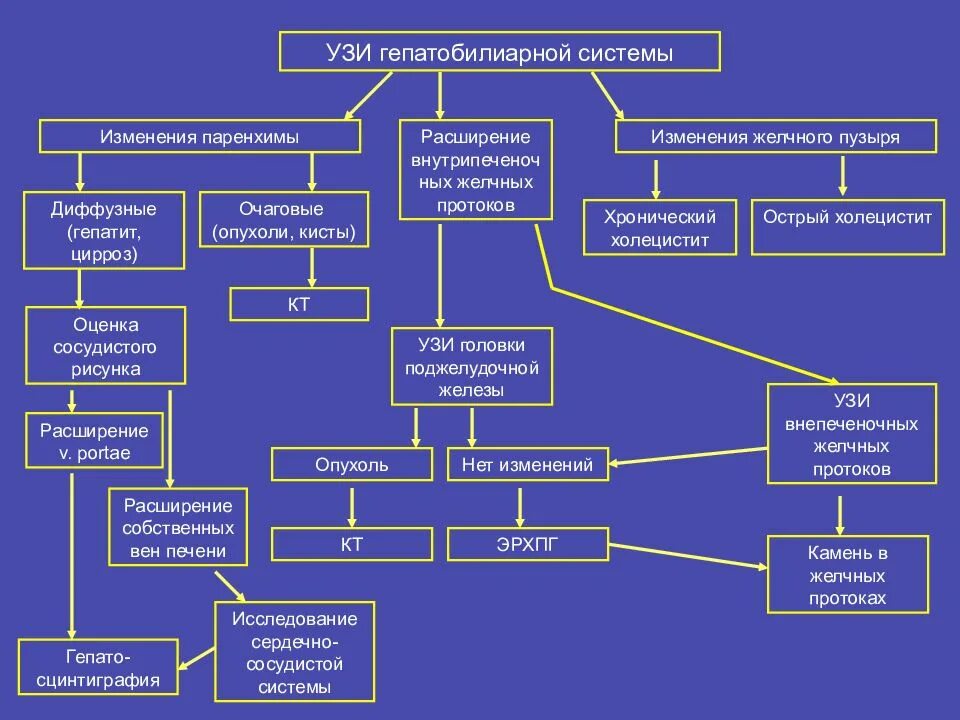 Гепатобилиарная зона что это. УЗИ гепатобилярной системы. Ультразвуковое исследование гепатобилиарной зоны подготовка. Схема гепатобилиарной системы. УЗИ билиарной системы.
