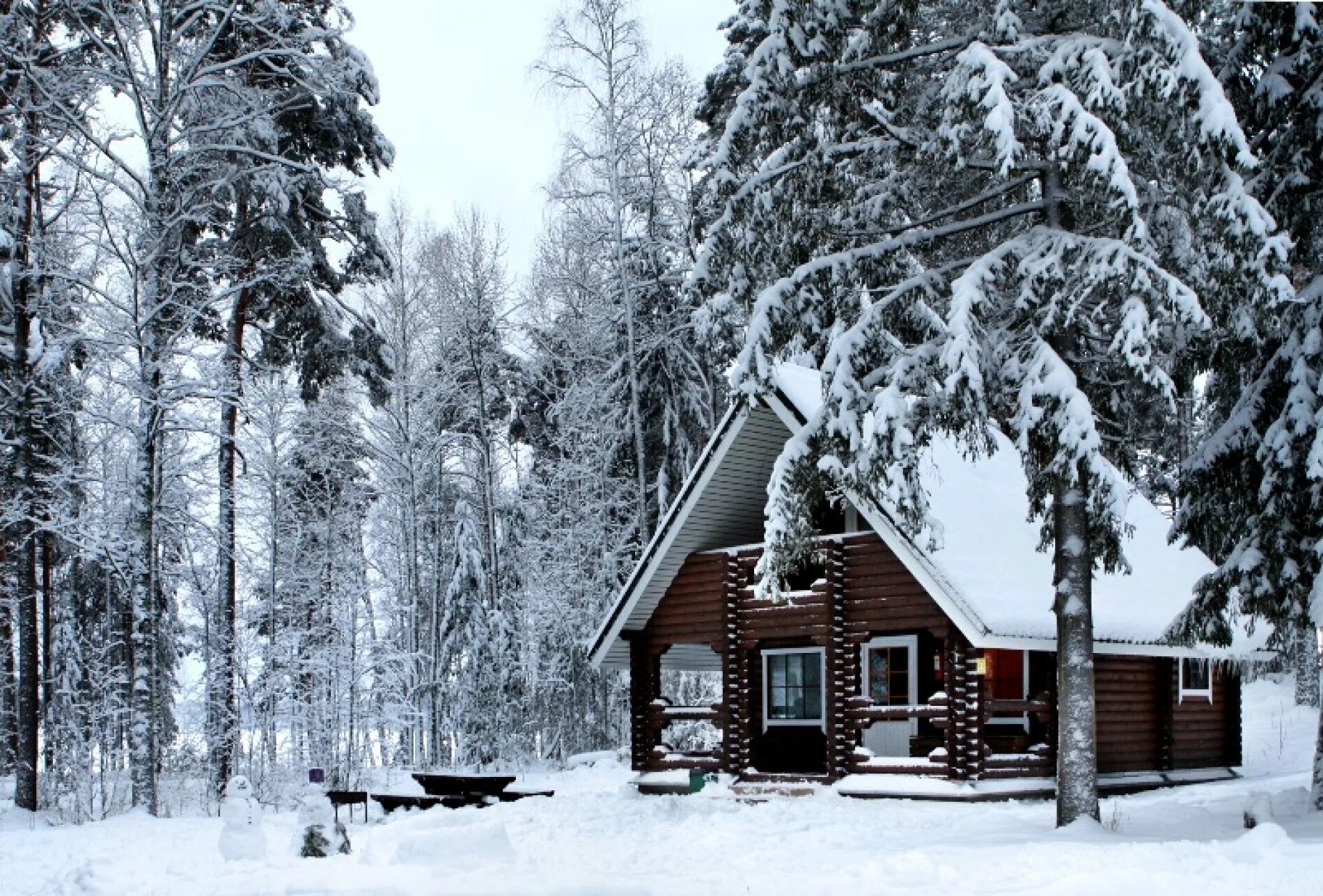 финский красный дом. курорт дом у моря ленинградская область. дом зимой. дом лапландия финский. царство королевство база отдыха рощино зима.