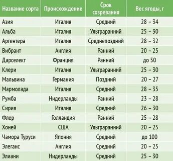 Клубника от цветения до созревания сколько дней