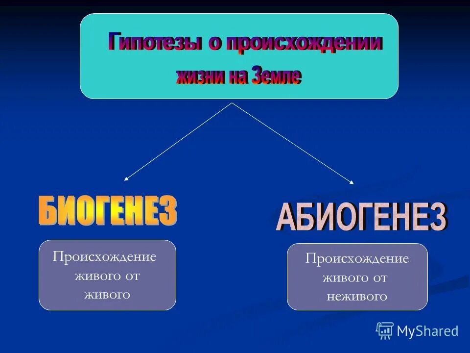 способность лица своими действиями осуществлять права и обязанности. происхождение живого. теория биогенеза и абиогенеза. происхождение живого вещества конспект. организмы возникают путем самозарождения.