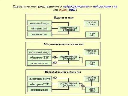 Восстановите пропущенные обозначения в структурной схеме компьютера