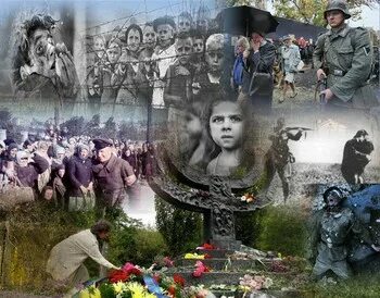Жизнь без выстрела. Жизнь без выстрела