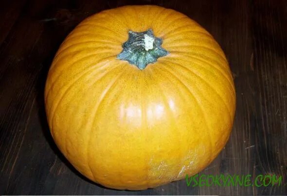 тыква желтого цвета. тыква желтая с белым. тыква нельсон f1. тыква декоративная белая. тыква китайка.