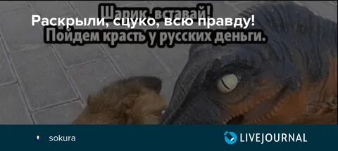 Деньги пошли пошли деньги