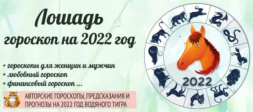 Лошадь знак зодиака года. Гороскоп на 2022. Гороскоп на 2022 год. Лошадь знак зодиака. Восточный гороскоп лошадь.