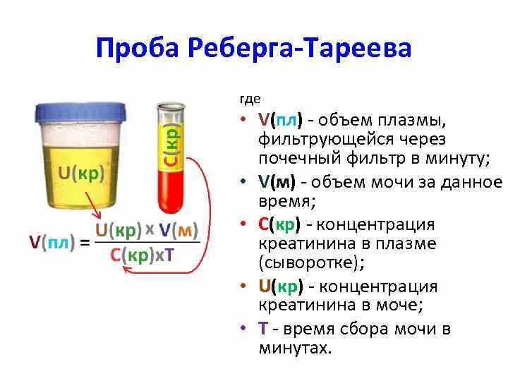 Сбор мочи на исследование проба Реберга. Проба Реберга Тареева у детей. Проба Реберга подготовка пациента. Проба мочи по Ребергу назначается для определения. Моча на тощак