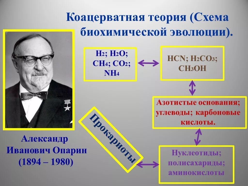 Гипотеза биохимической эволюции опарина. Опарин коацерватная теория. Теория биохимической эволюции Опарина-Холдейна. Теория биохимической эволюции (теория а.и. Опарина).