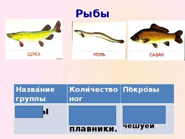 Группа животных рыбы. Группа животных рыбы примеры. Представители группы рыбы 3. Рыбы представители группы 3 класс.