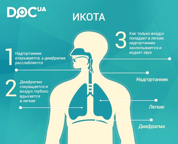 Почему часто кашель. Икота. Икота причины. Почему человек икает. Методы избавления от икоты.