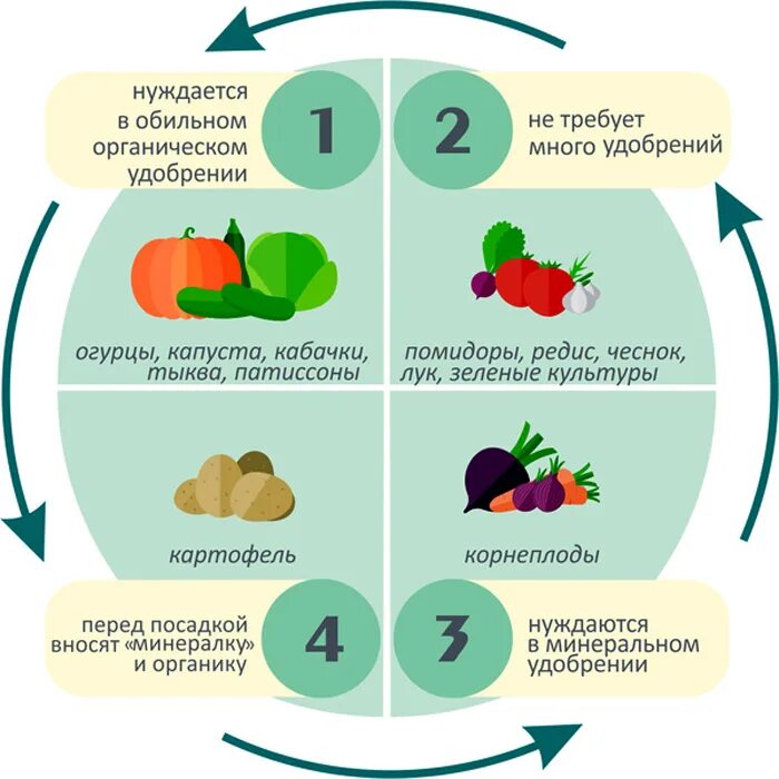 Что сажать после огурцов на следующий. Схема севооборота овощных культур. Севооборот овощных культур на дачном участке таблица. Чередование посадок овощных культур таблица. Схема посадки овощных культур таблица.