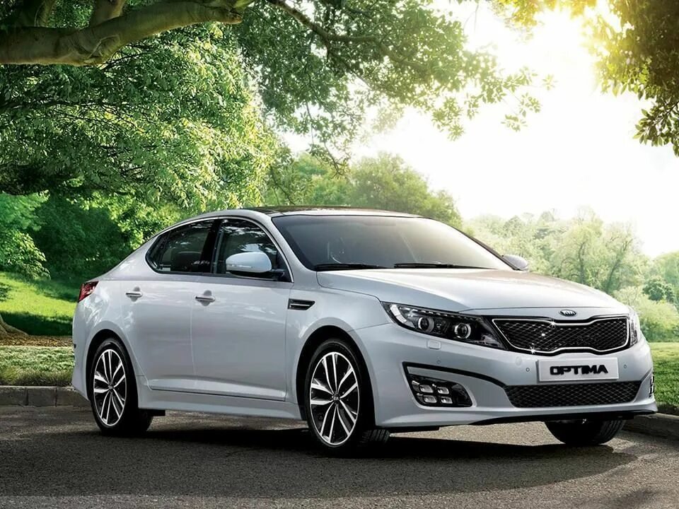 Киа к3 в россии. Kia Optima 2014. Kia Optima 2015. Kia Оптима 2015. Kia Kia Optima 2014.