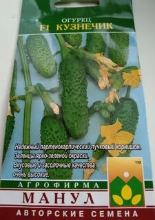 Огурец кузнечик